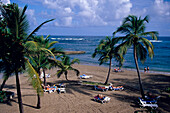 Beach, Deck Chairs, Palm Trees, Paradise Beach Resort Playa Dorada, Puerto Plata, Dominican Republic