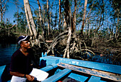 Mangrove Forest, Boat, Man, Boat trip to mangrove forest Laguna Gri-Gri, Rio San Juan, Dominican Republic