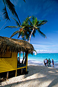 Beach Hut, Palm Tree, Caribbean Sea, Beach Bungalow in Bavaro / Punta Cana, Dominican Republic