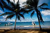 Motor Boats, Beach, Palm Trees, Playa Cacao in Las Terrenas, Samana Peninsula, Dominican Republic