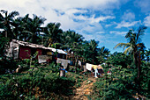 Cottage, Mountain Range, Path, Housing on Samana Mountain Range on Samana Peninsula, Dominican Republic