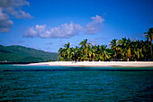 Strand mit Palmen, Cayo Levantado Bahia de Samana, Cayo Levantado, Bahia de Samana, Samana Peninsula, Dominican Republic, Antillen, Karibik