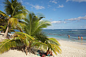 Beach, Covered, Palm Trees, Shade, Plage de Raisins Claires, Saint Francois, Basse-Terre, Guadeloupe, Caribbean Sea, America