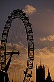 London Eye and Westminster Palace at dusk, London, England, Great Britain, Europe