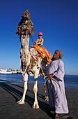 Kamelreiten am Strand, Giftun Village, Hurghada Rotes Meer, Aegypten