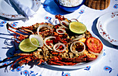 Lobster, Praia do Forte Brasilien