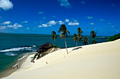 Sanddüne von Genipabu, Genipabu Strand, Natal, Rio Grande do Norte, Braisilien