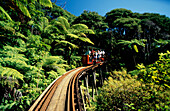 Driving Creek Railway, Coromandel Neuseeland