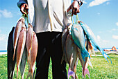 Fisherman presenting his catch, Grand' Anse, Praslin, Seychelles