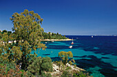 Bucht mit Booten im Sonnenlicht, Côte d' Azur, Provence, Frankreich, Europa