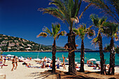 Palmen, Strand, Meer, Cote d´Azur, Var Provence, Frankreich