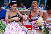 Preparation for Romeria, La Orotava, Tenerife, Canary Islands, Spain