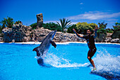 Dolphin show, Loro Parque, Puerto de la Cruz, Tenerife, Canary Islands, Spain