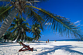 Palm beach with palm tree, Carribean coast south of Tulum, Quintana Roo, Yucatán peninsula, Mexico