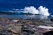 Salinas in der nähe von Banaderos, Gran Canaria, Kanarische Inseln, Spanien