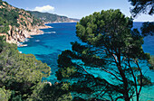 Coastal landscape near Tossa de Mar, Costa Brava, Provinz Girona, Catalonia, Spain