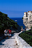 Falaises, Kliffe von Bonifacio, Korsika, Frankreich