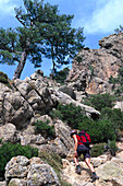 Woman on hiking trail GR 20, Bavella Pass, Corsica, France