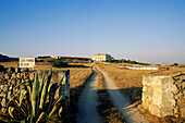 Bauernhaus mit Landstraße, typische Steinmauer, in der Nähe von Ciutadella, Menorca, Balearen, Spanien