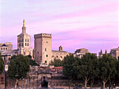 Palais des Papes, Avignon, Frankreich