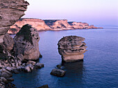Falaises, cliffs, near Bonifacio, Bonifacio Corsica, France