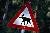 Road sign, Moose Traffic Sign, Norway