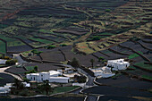 Ackerbau, LAvafelder, Los Valles, Lanzarote, Kanarische Inseln, Spanien
