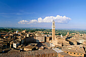 Stadtbild mit der Piazza del Campo, Torre del Mangia und der Palazzo Pubblico, Siena, Toskana, Italien