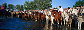 Pilgrims on horseback standing in the river, Andalusia, Spain