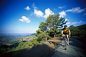 Biker near Pano Platres, Troodos Mountains Cyprus