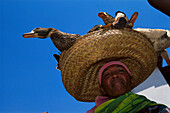 Saleswoman with ducks, Betafo, Madagascar