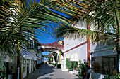 Gasse mit Blumen und Palmen, Puerto de Mogan, Gran Canaria, Kanaren, Spanien