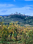 View from vineyard on San Gimignano, Tuscany, Italy