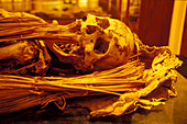 Mumie in Museum Museo Canario, Vegueta, Las palmas, Gran Canaria, Kanaren, Spanien