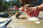 Eichhörnchen stibitzt Essen, Mann schneidet Grimasse, Lodge, Rocky Mountains, Alberta, Kanada