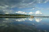 Beach toensberg, norway, beach of Toensberg, Vestfold, Oslofjord, Norway