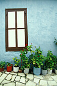 Hausfassade mit Pflanzen, Kato Lefkara, Zypern
