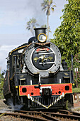 Historic train, Historic train ooteniqua choo-tjoe2 from George to Knishna, Western Cape, South Africa