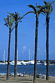 Menschen und Palmen am Strand vor dem Jachthafen, Playa Barceloneta, Barcelona, Spanien, Europa