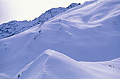 Group snowshoeing, mount Schellenberg, Stubai Alps, Tyrol, Austria