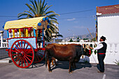 Pilgrim with decorated oxcart, Romeria de San Isidro, Nerja, Costa del Sol, Malaga province, Andalusia, Spain, Europe