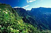 View, Ille de la Réunion Indian Ocean