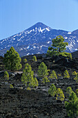 Berggipfel von Teide, Pico del Teide, 3718m vom Pinar de Chio, Teneriffa, Kanarische Inseln, Spanien, Europa