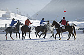Playing polo in the snow, International tournament in Livigno, Italy