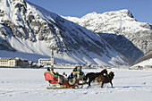 Tourists on a sleigh ride, Livigno, Italy