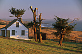 Wooden house and coast area in the evening sunlight, Sonoma Coast State Beaches, Sonoma County, California, USA, America