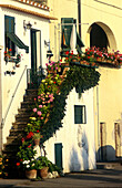 Treppe mit Blumen, Marciana Marina, Insel Elba Toskana, Italien