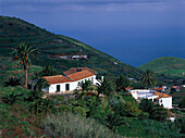 Haus mit Palme, San Andrés, Ostkueste La Palma, Kanarische Inseln