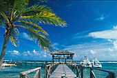 Bootssteg des Brac Reef Resorts, Cayman Brac, Cayman Islands Karibik