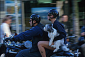 Hundebesitzer mit Harley, Robson Street, Vancouver British Columbia, Kanada